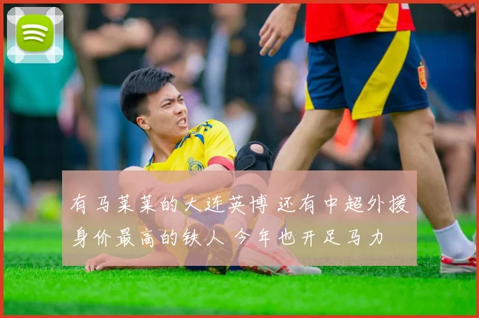 有马莱莱的大连英博 还有中超外援身价最高的铁人 今年也开足马力