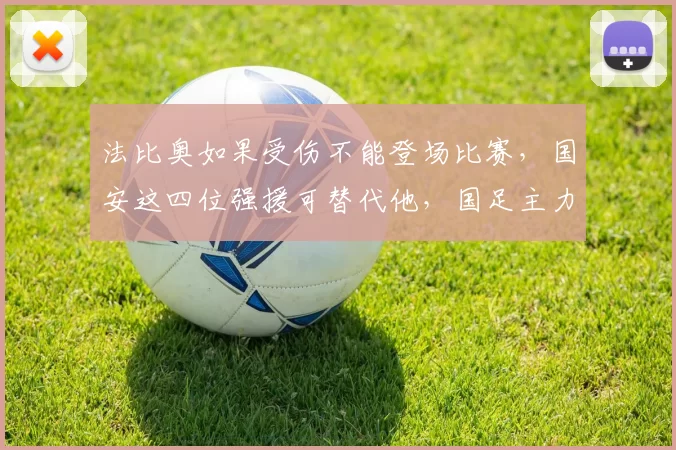 法比奥如果受伤不能登场比赛，国安这四位强援可替代他，国足主力领衔_张玉宁_赛季_外援