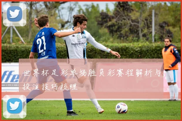 世界杯足彩单场胜负彩赛程解析与投注技巧梳理